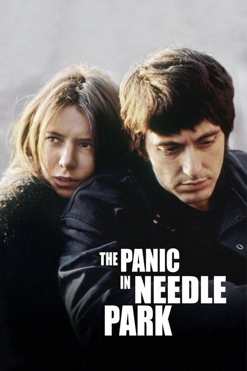 The Panic in Needle Park poster