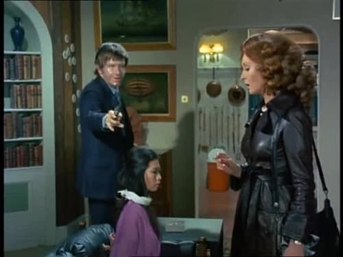 The Protectors, S01E20 - (1973)