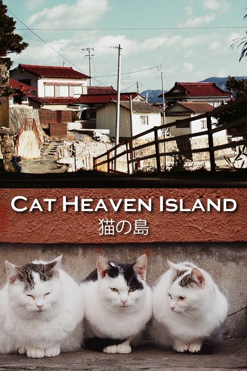 Cat Heaven Island 2015