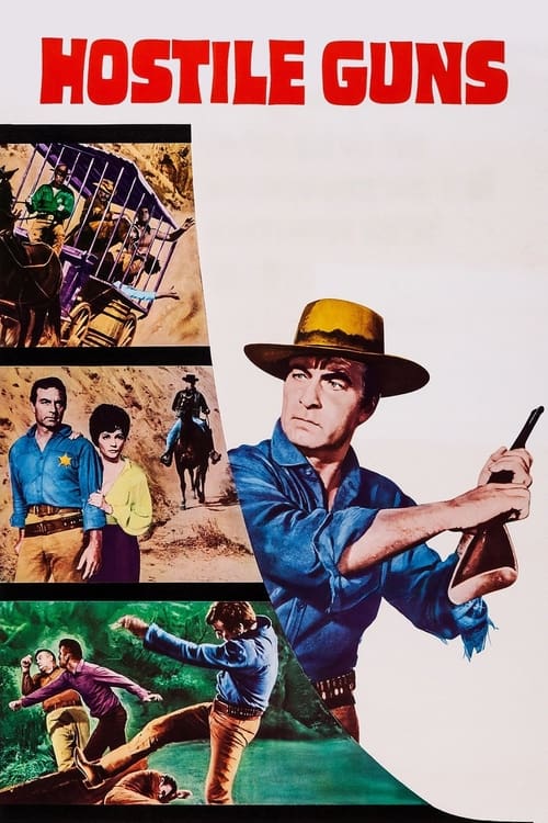 Hostile Guns Movie Poster Image