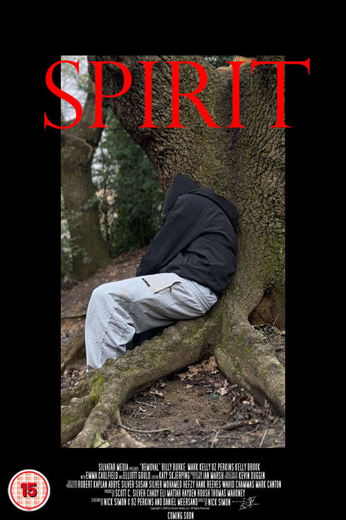 SPIRIT poster