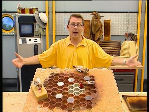 Qui miel me suive (les abeilles)