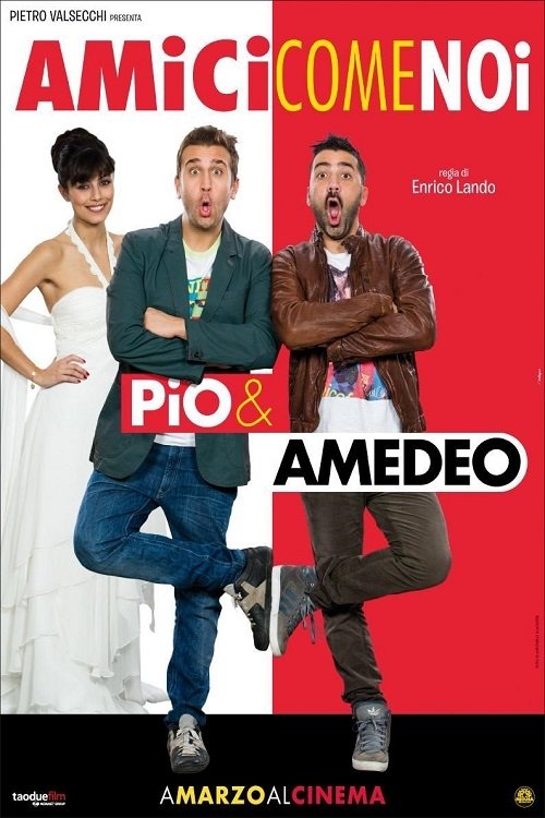 Amici come noi (2014)