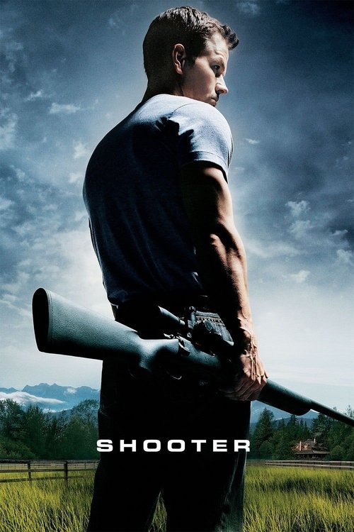 Grootschalige poster van Shooter