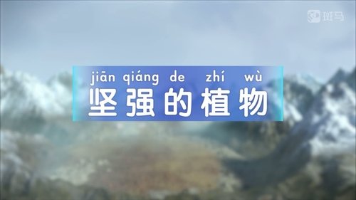 Épisode 10