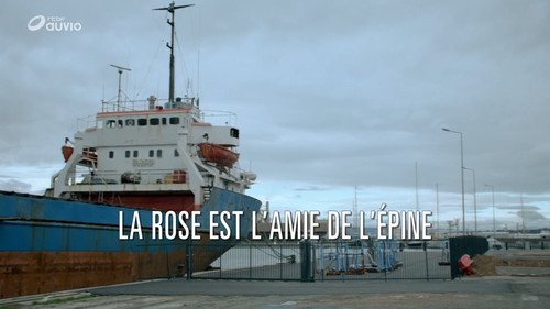 Image La rose est l'amie de l'épine