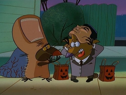 Image de l'épisode 19