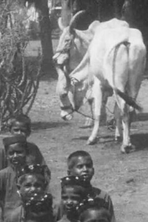 Salvation Army Parade in Indian Village - No.1 (1904)