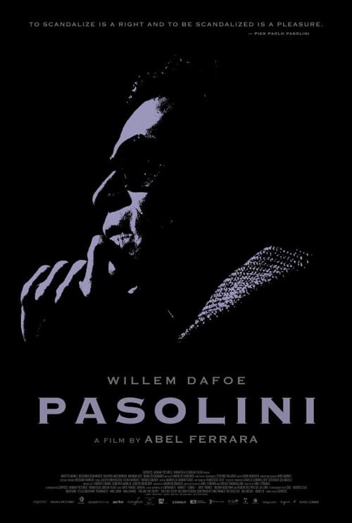 Where to stream Pasolini