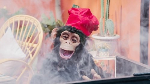 Image de l'épisode 11