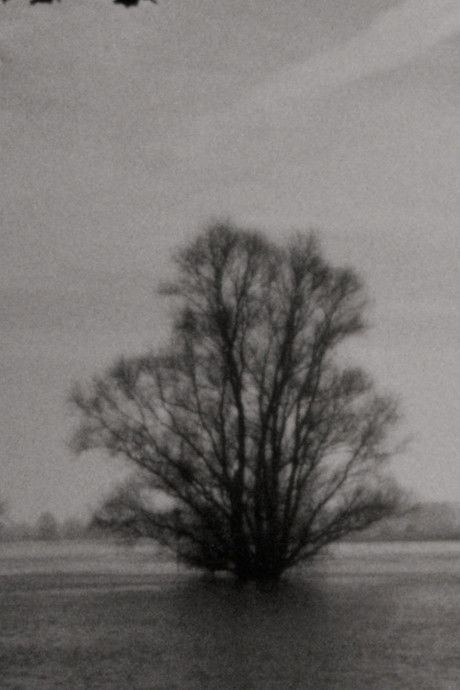 Landscape as Landscape 2