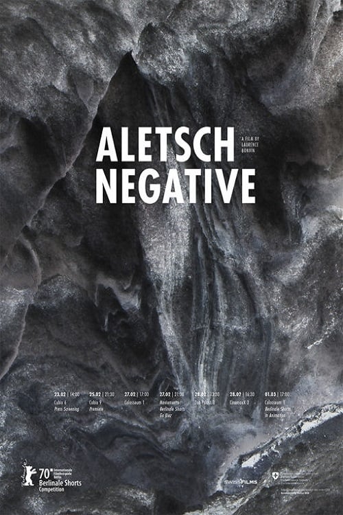 Aletsch Negative 2019