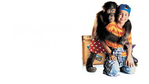 O Hóspede Quer Bananas - imagem 9