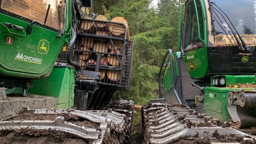 Poster della serie Undercut: l'oro di legno
