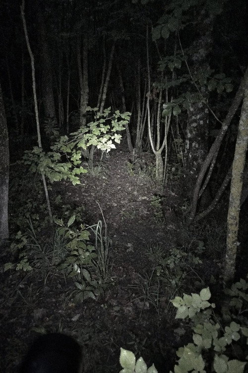 Untitled Found Footage Project