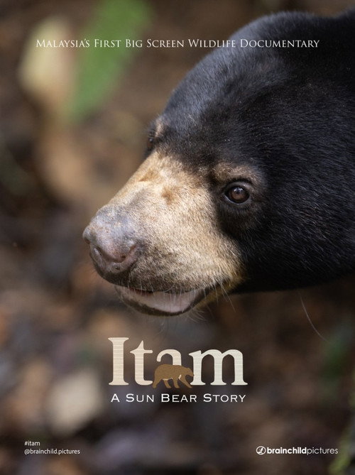 Itam: A Sun Bear Story poster