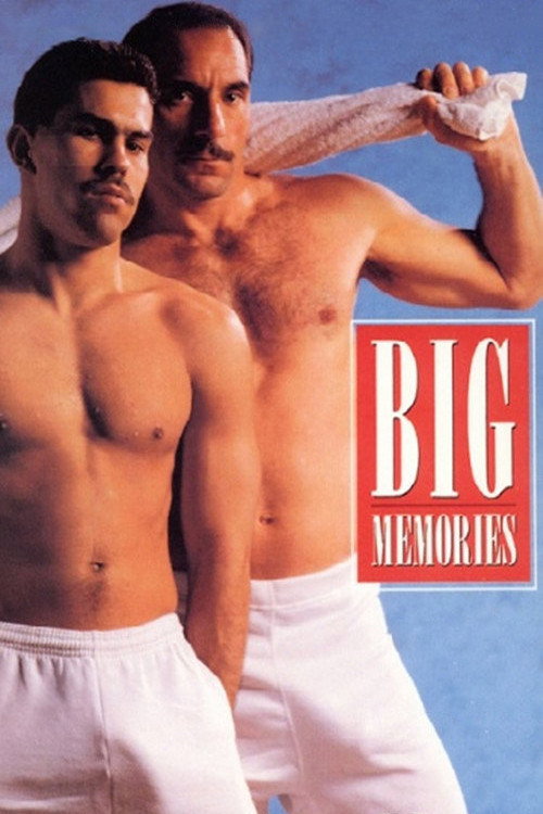 Big Memories poster