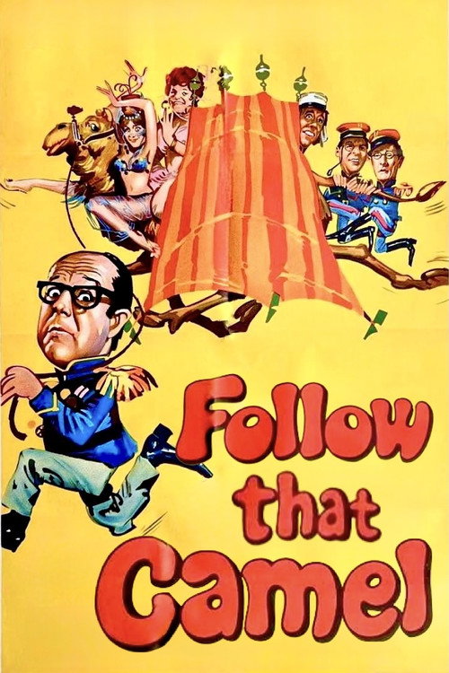 Follow That Camel