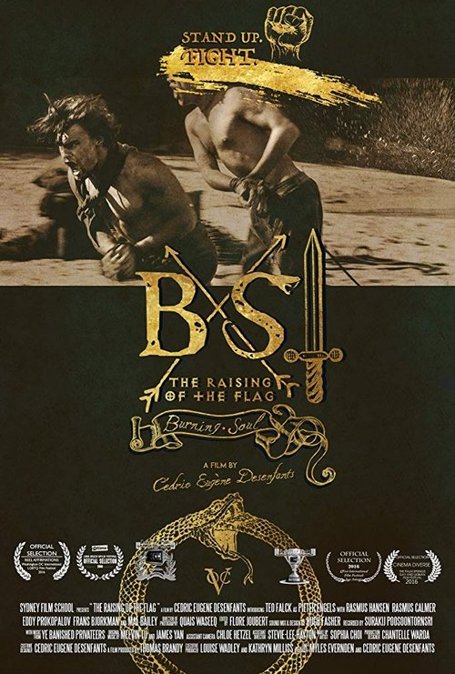 Burning Soul movie poster player