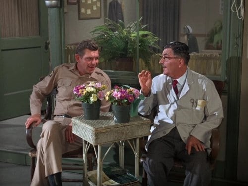 The Andy Griffith Show, S07E12 - (1966)