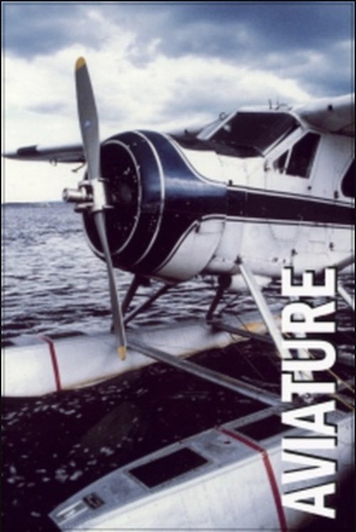 Aviature movie poster player