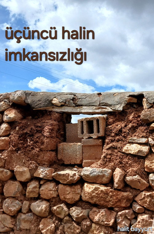 Üçüncü Halin İmkansızlığı