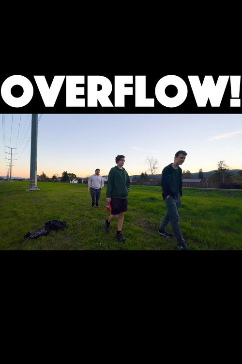 OVERFLOW!