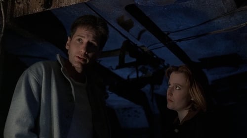 The X-Files: 2×19