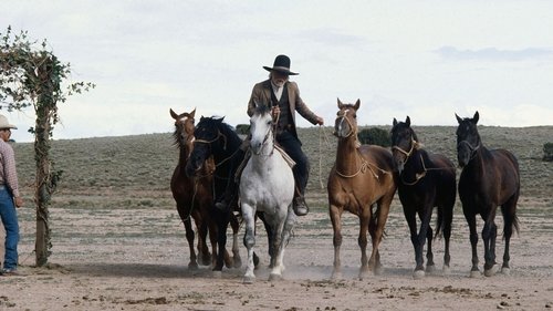 Poster della serie Lonesome Dove