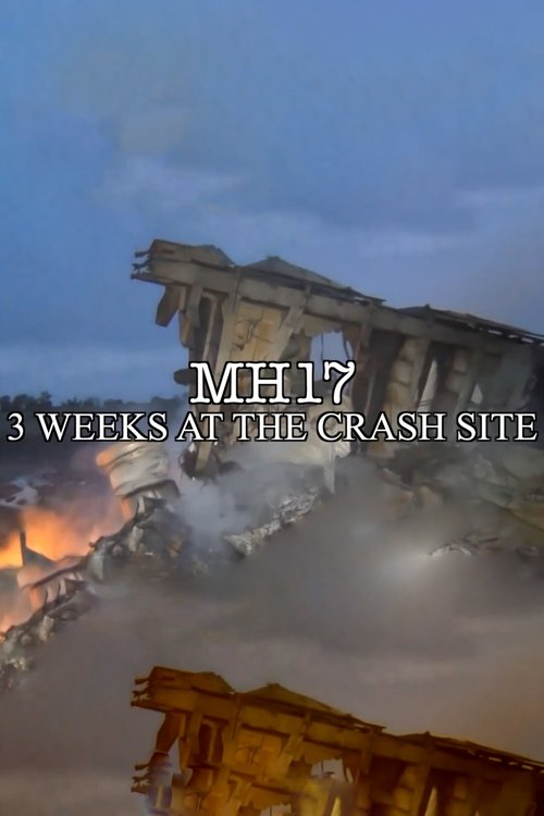 MH17 (2018)