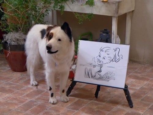 Poster della serie Dog with a Blog