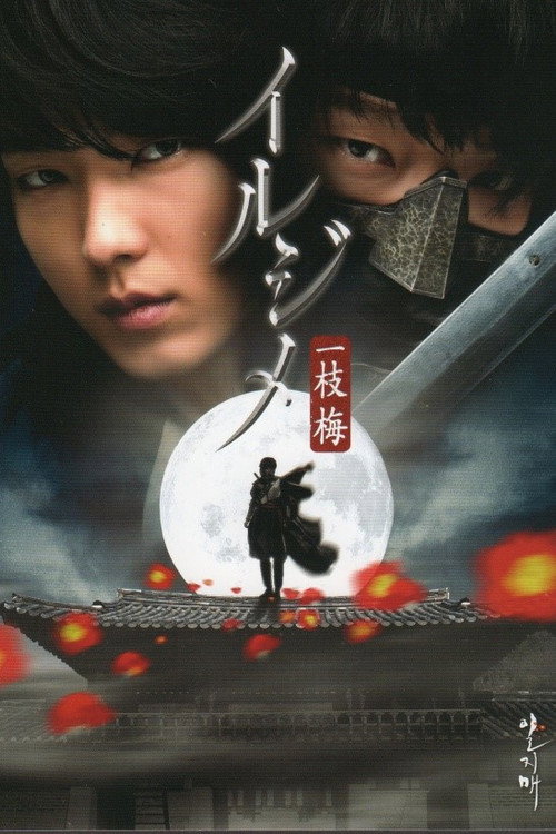 一枝梅（国语） poster