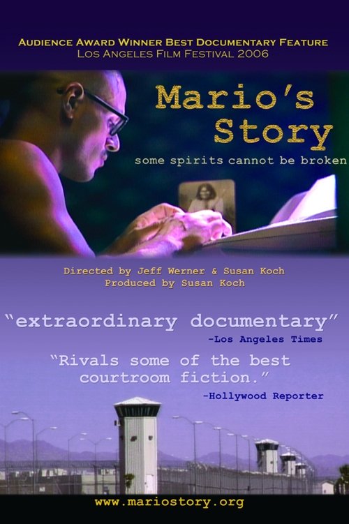 Mario's Story movie poster player