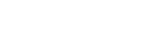 Dvojníci