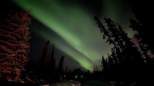 Sarapanta (Chasing the Northern Lights) Backdrop Blur