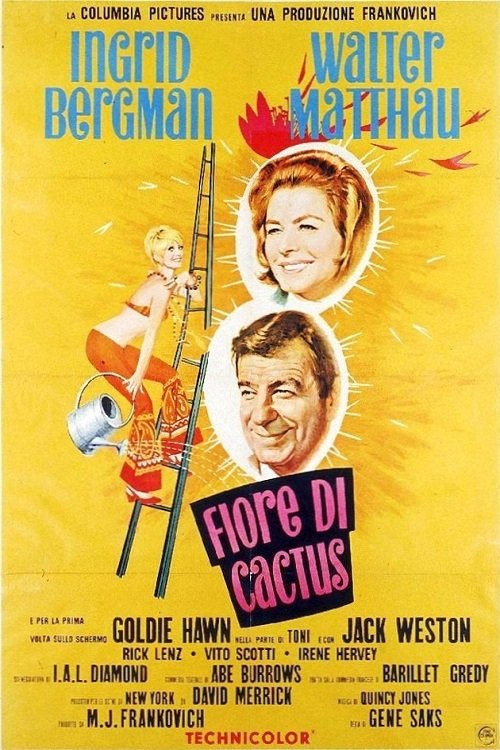 Cactus Flower poster