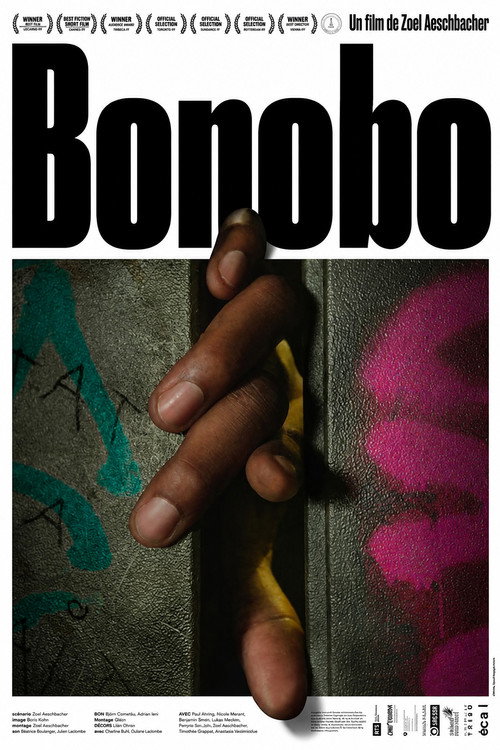 Bonobo