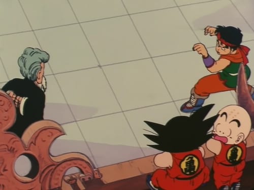 Dragon Ball: 1×22