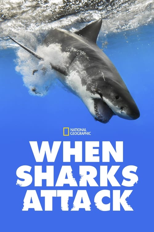 When Sharks attack..., S07 - (2021)