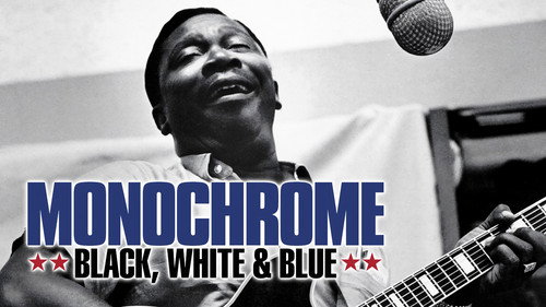 Monochrome: Black, White & Blue