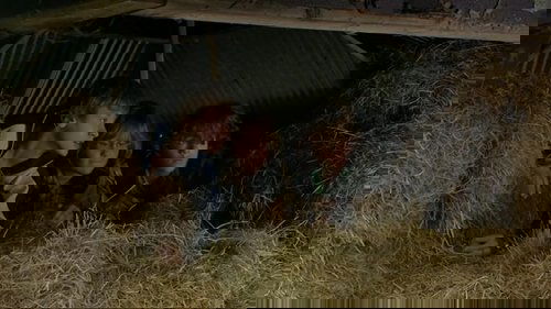 Image de l'épisode 8