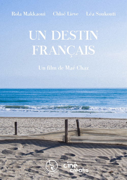 Un destin français poster