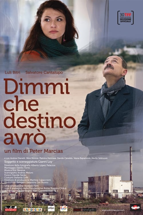 Dimmi che destino avrò (2012)