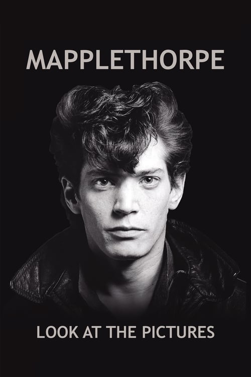 Largescale poster for Mapplethorpe: Look at the Pictures