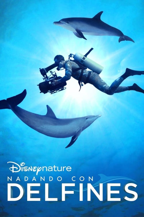 Diving with Dolphins poster