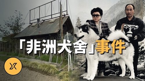 Episode 237