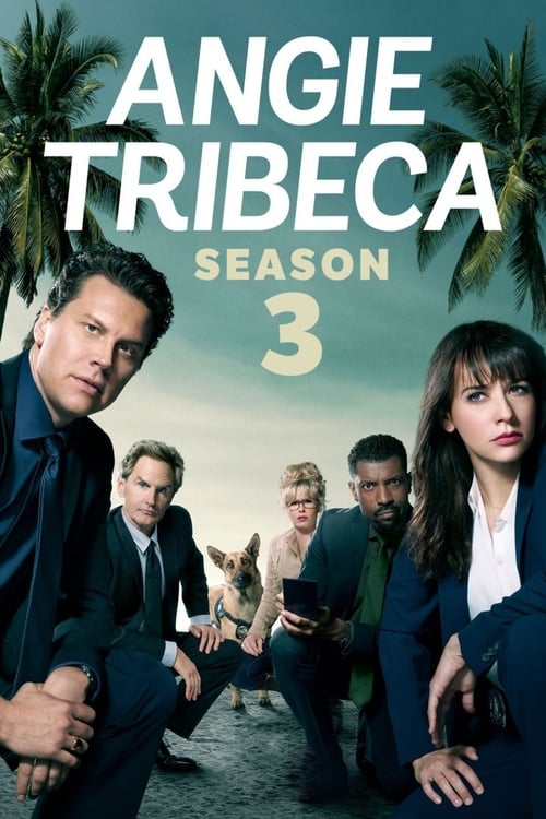 Where to stream Angie Tribeca Season 3