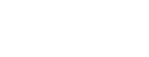 The George Carlin Show