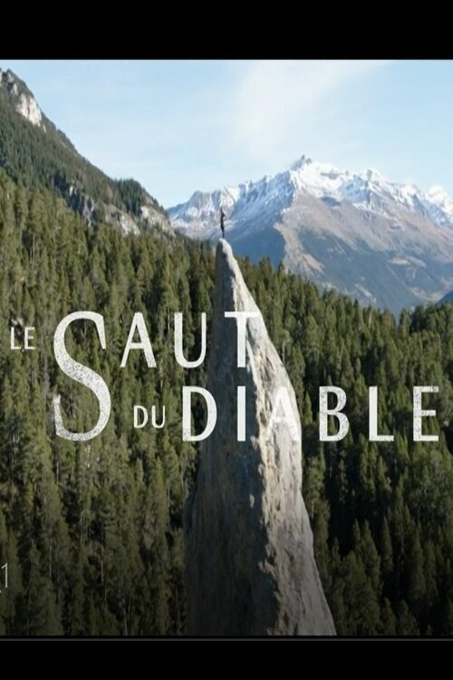 Le saut du diable poster