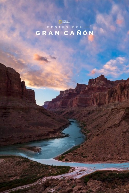 Into the Grand Canyon poster